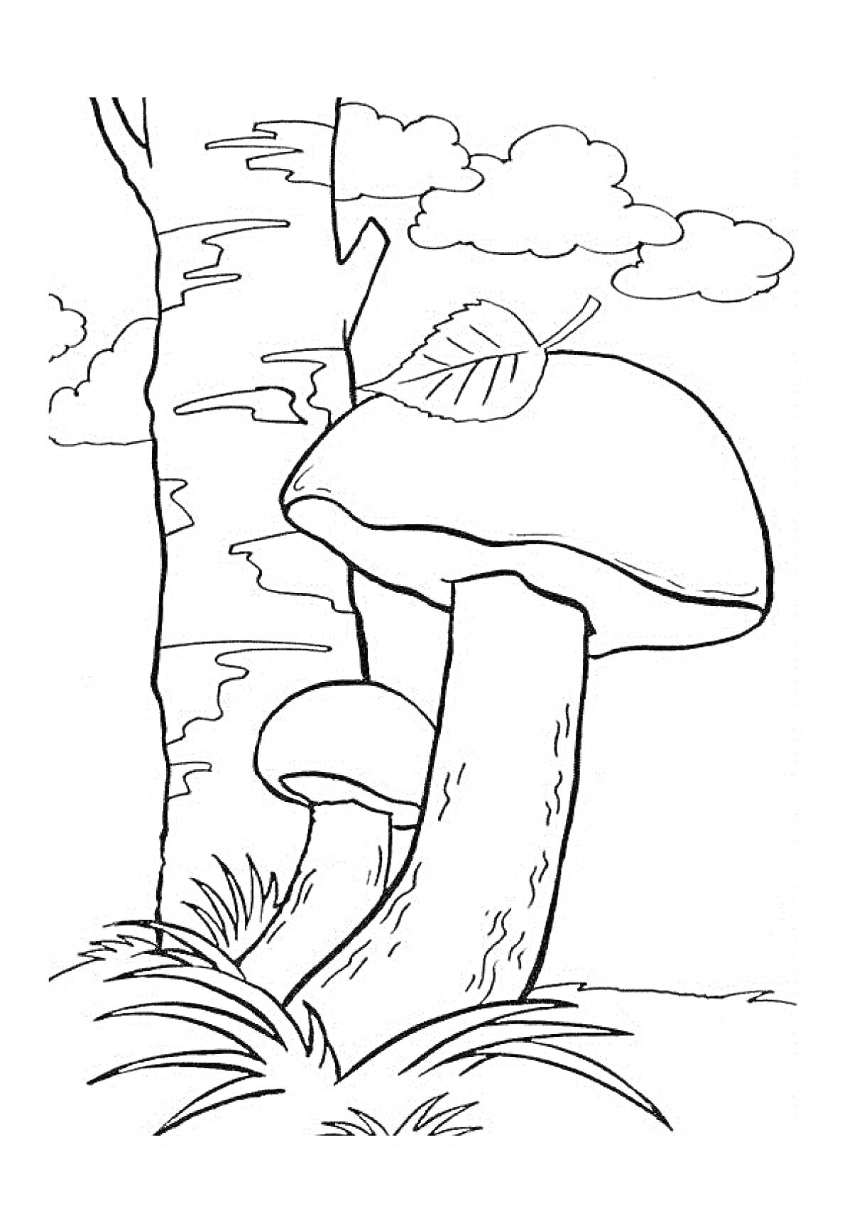 Раскраска Береза, грибы, трава, облака и лист