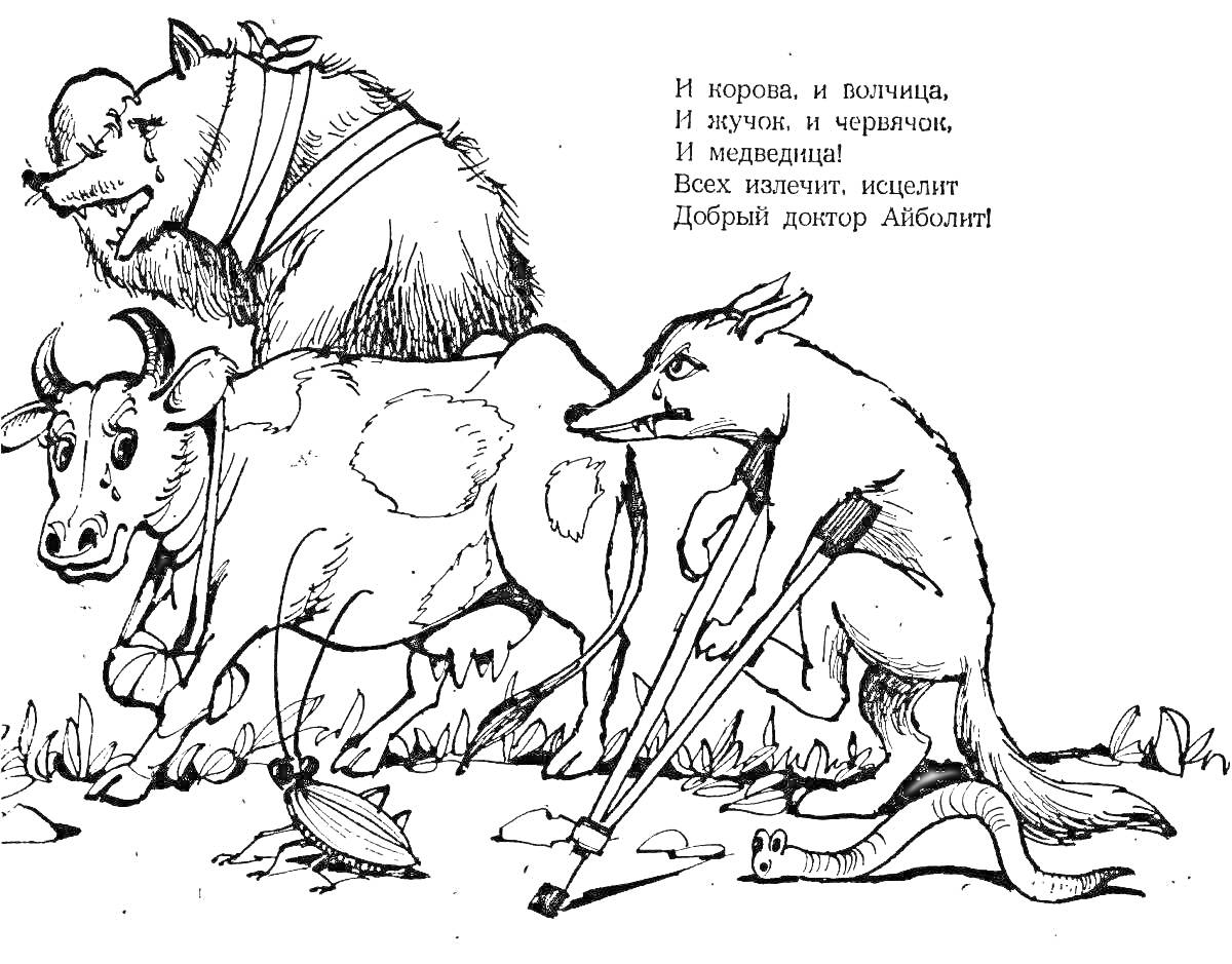 Раскраска Доктор Айболит лечит животных (медведь, корова, лиса, таракан, угорь, сверчок)