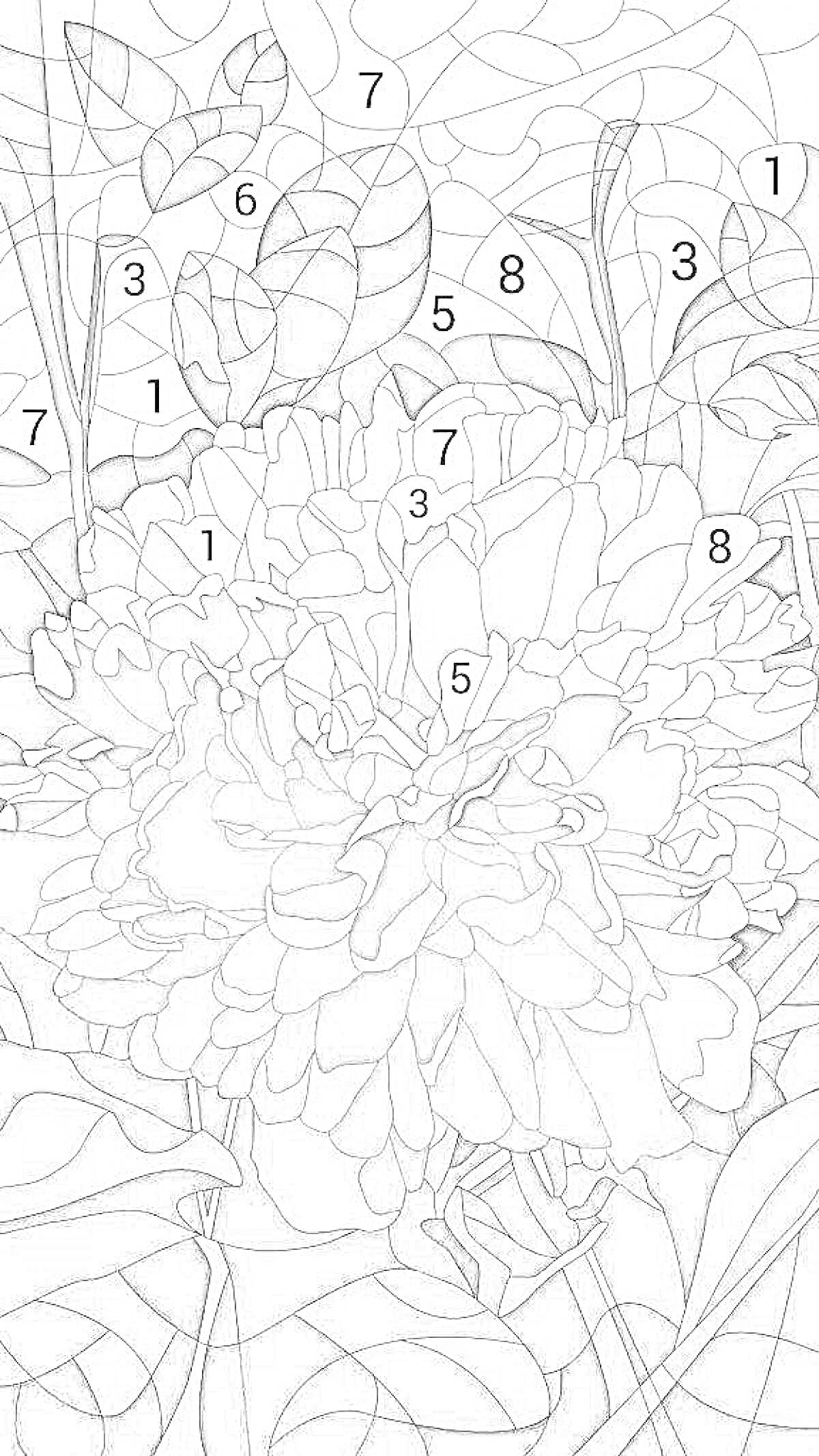 Раскраска Пышный цветок с листьями