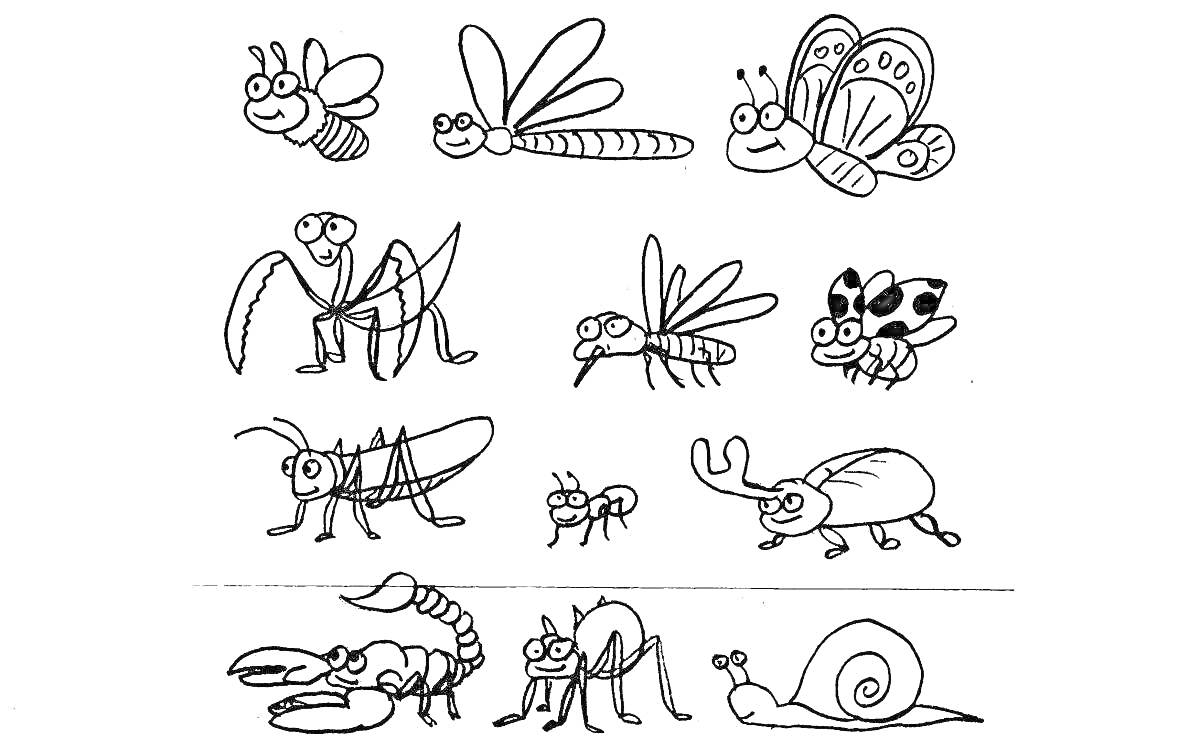 На раскраске изображено: Бабочка, Комар, Муха, Кузнечик, Муравей, Рак, Скорпион, Улитка, Окружающий мир, 1 класс