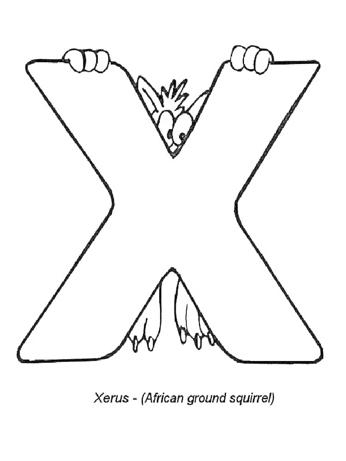 Раскраска Большая буква X с ксерусом (Африканская земляная белка), выглядывающим из-за неё