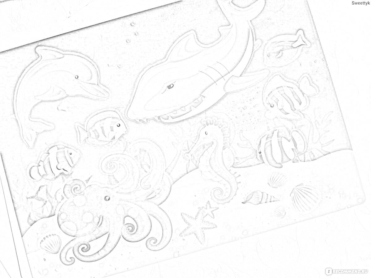 Раскраска Подводный мир: дельфин, акула, рыбы, морской конек, осьминог, ракушки, морская звезда, водоросли