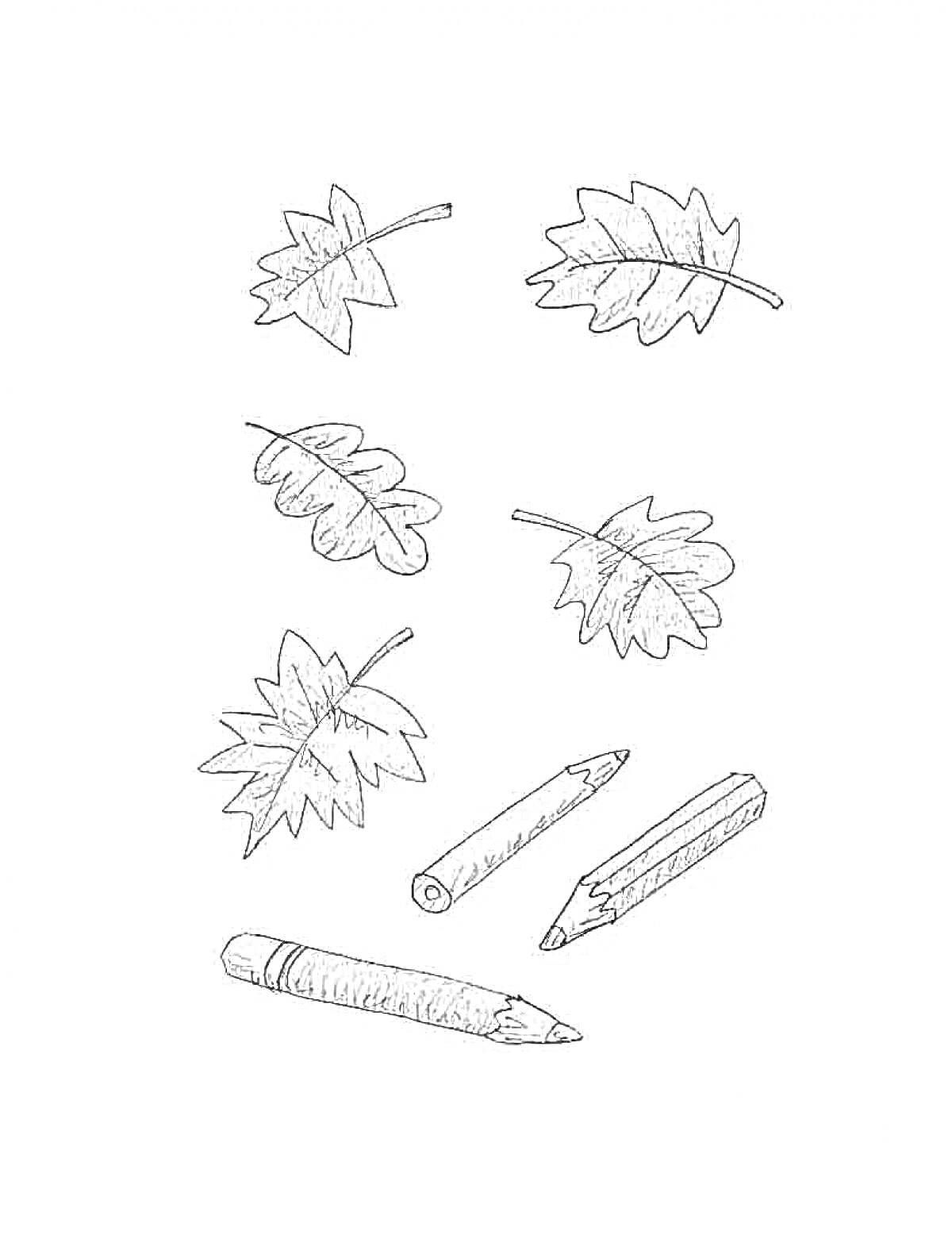 На раскраске изображено: Синие листья, Осень, Листья, Карандаши, Осенние листья
