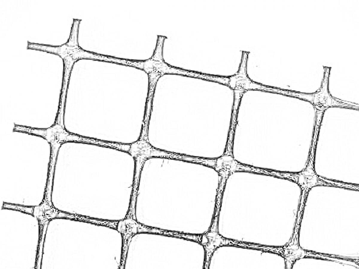 Черная геосетка на белом фоне с квадратными ячейками