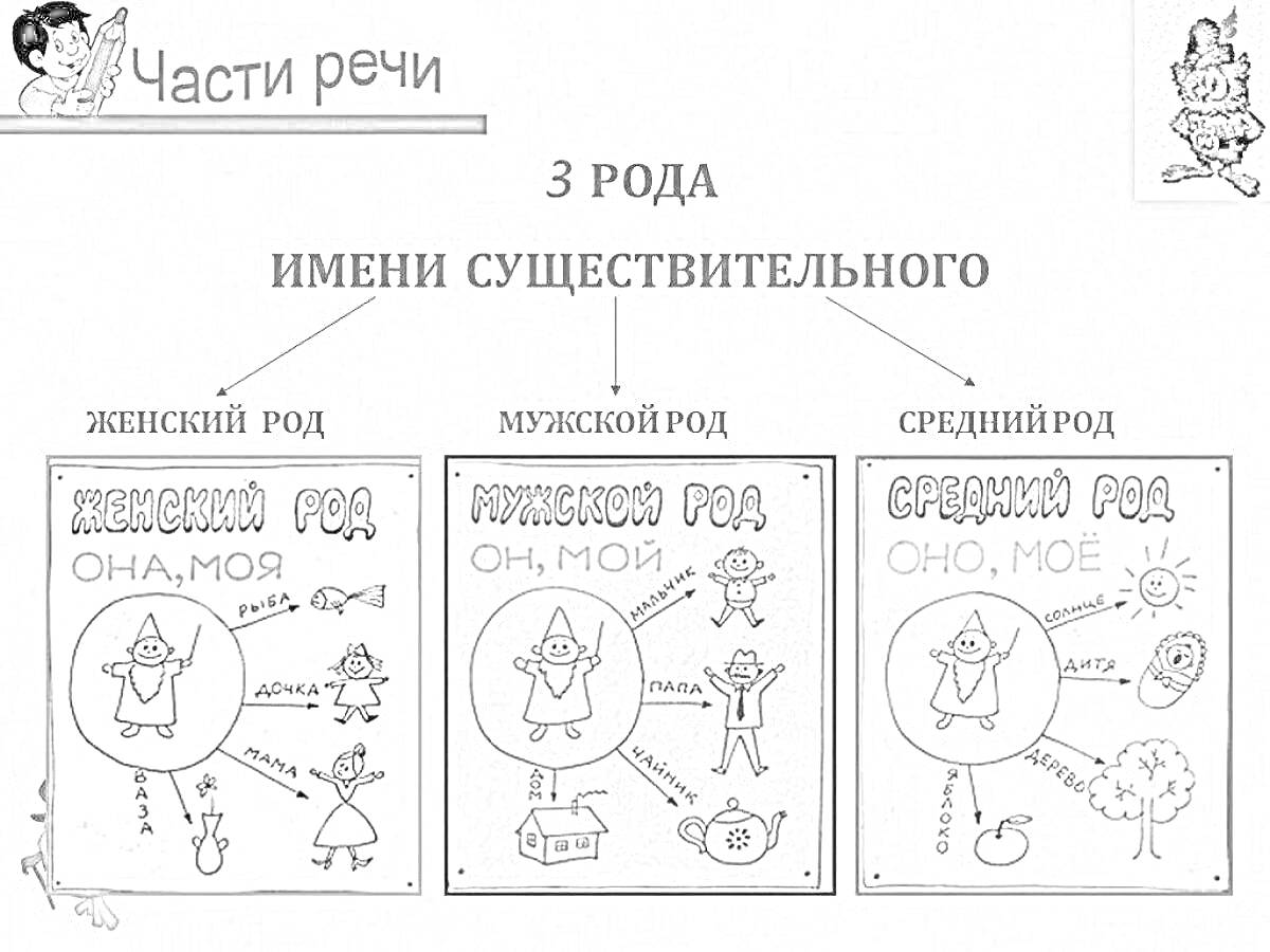 Части речи - 3 рода имени существительного: женский род (она, моя), мужской род (он, мой), средний род (оно, моё)