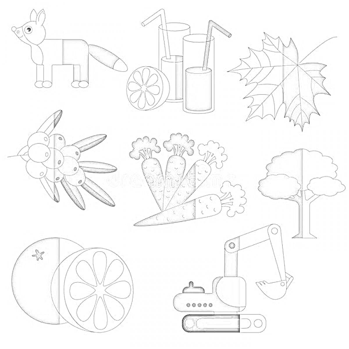 Раскраска Лиса, напитки, листья, муха, морковь, дерево, апельсин и экскаватор