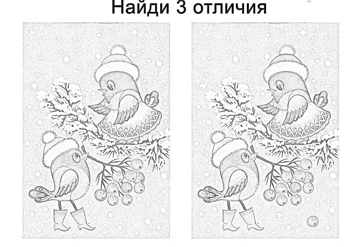 На раскраске изображено: Зимняя сцена, Найди отличия, Снег, Ягоды, Головные уборы, Снегопад