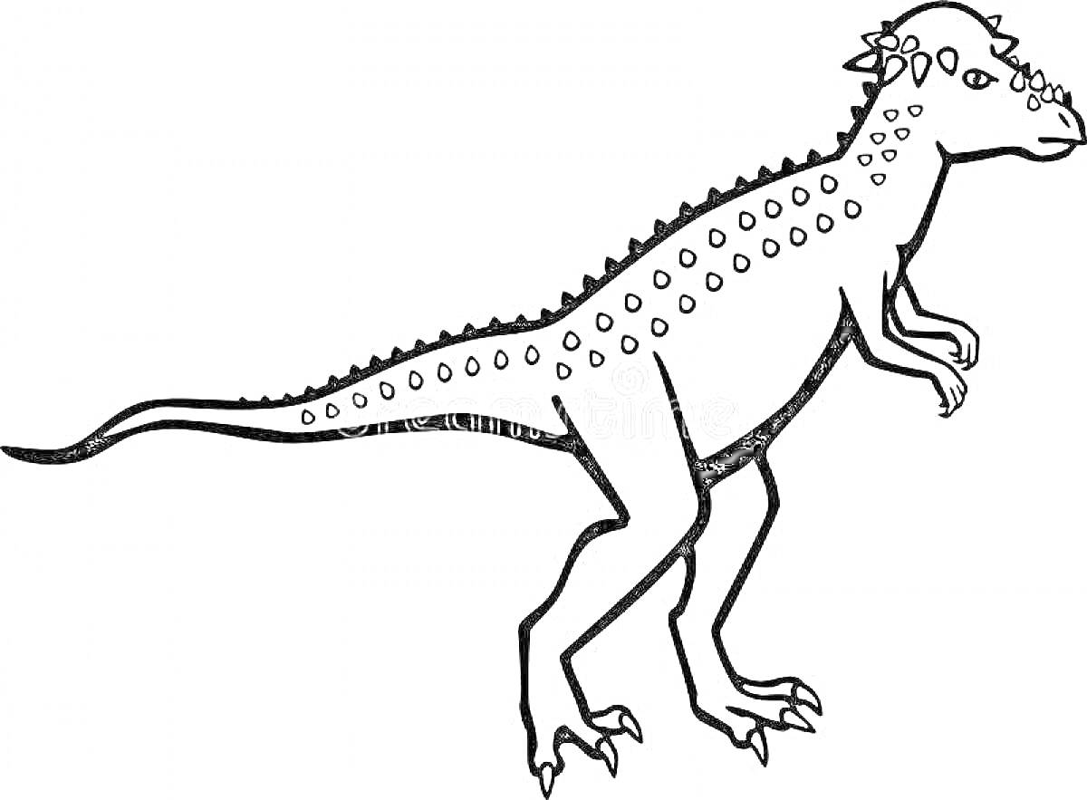 Раскраска Пахицефалозавр с поднятыми передними конечностями и шипами на голове и спине