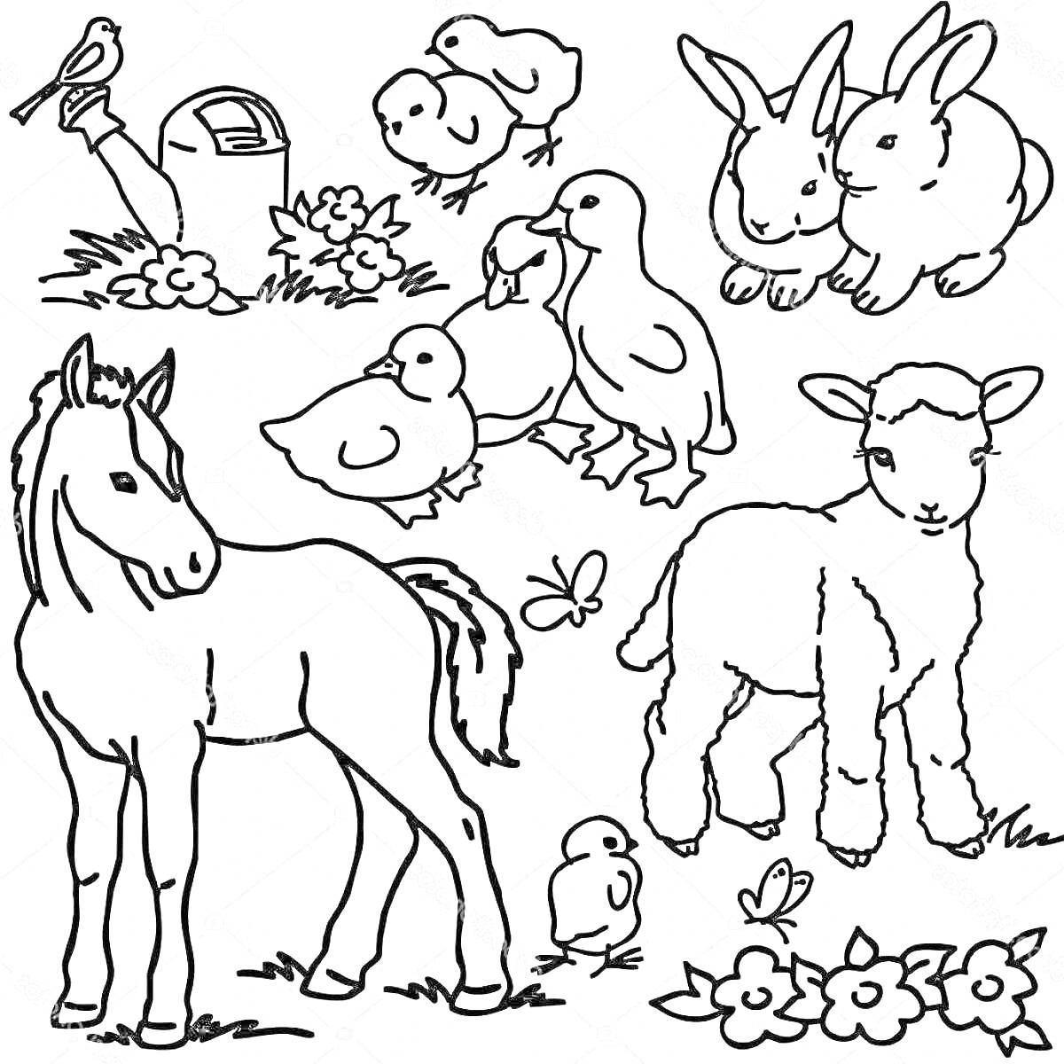 На раскраске изображено: Домашние животные, Дикие животные, Лошадь, Ягненок, Цыплята, Лейка, Птица, Цветы