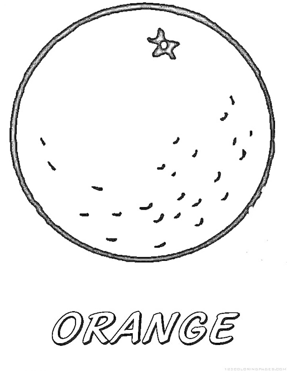 Раскраска Апельсин с пятнышками и надписью ORANGE