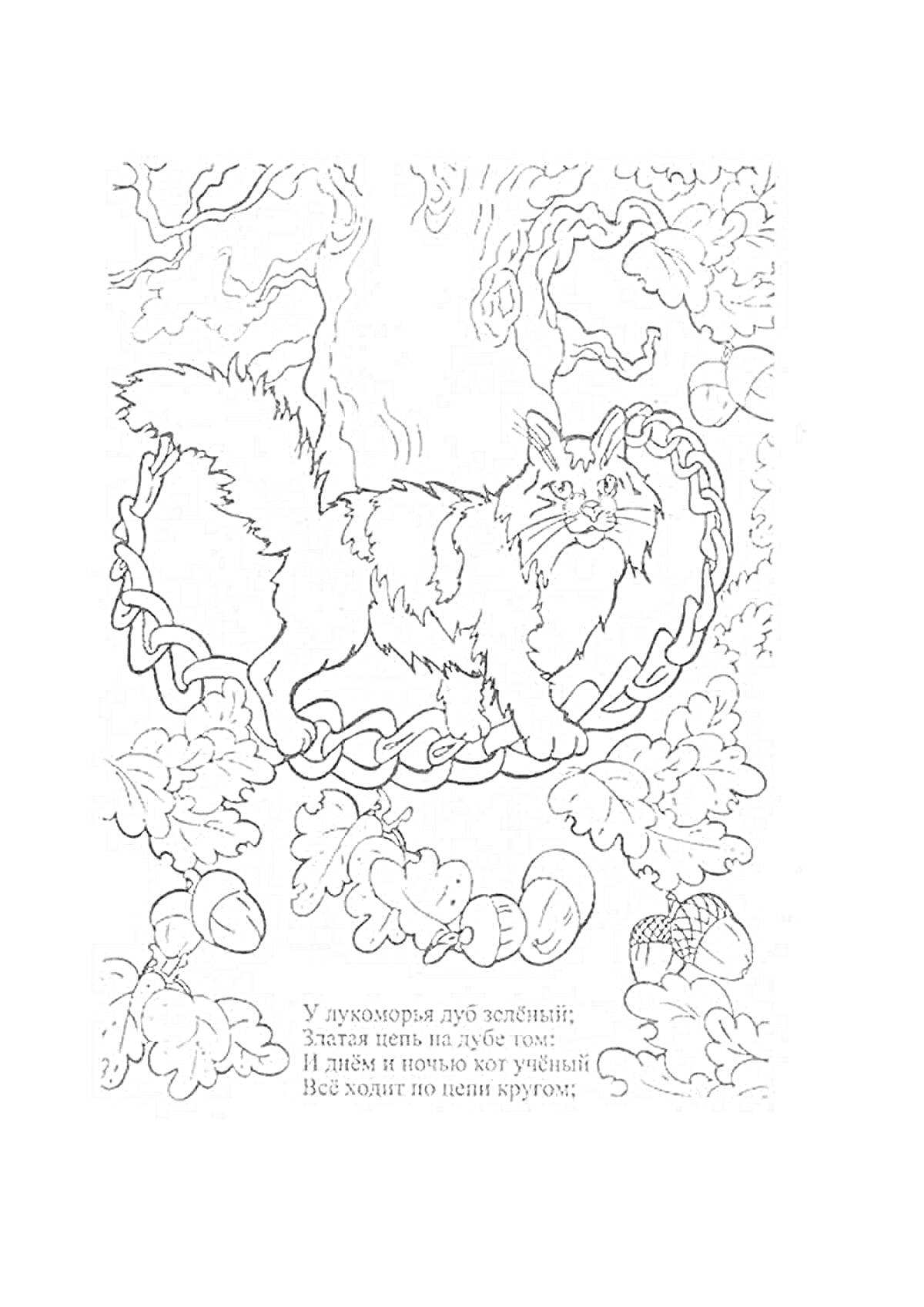 На раскраске изображено: Дуб, Кот, Цепь, Пушкин, Стихотворение, Лукоморье, Листья, Природа