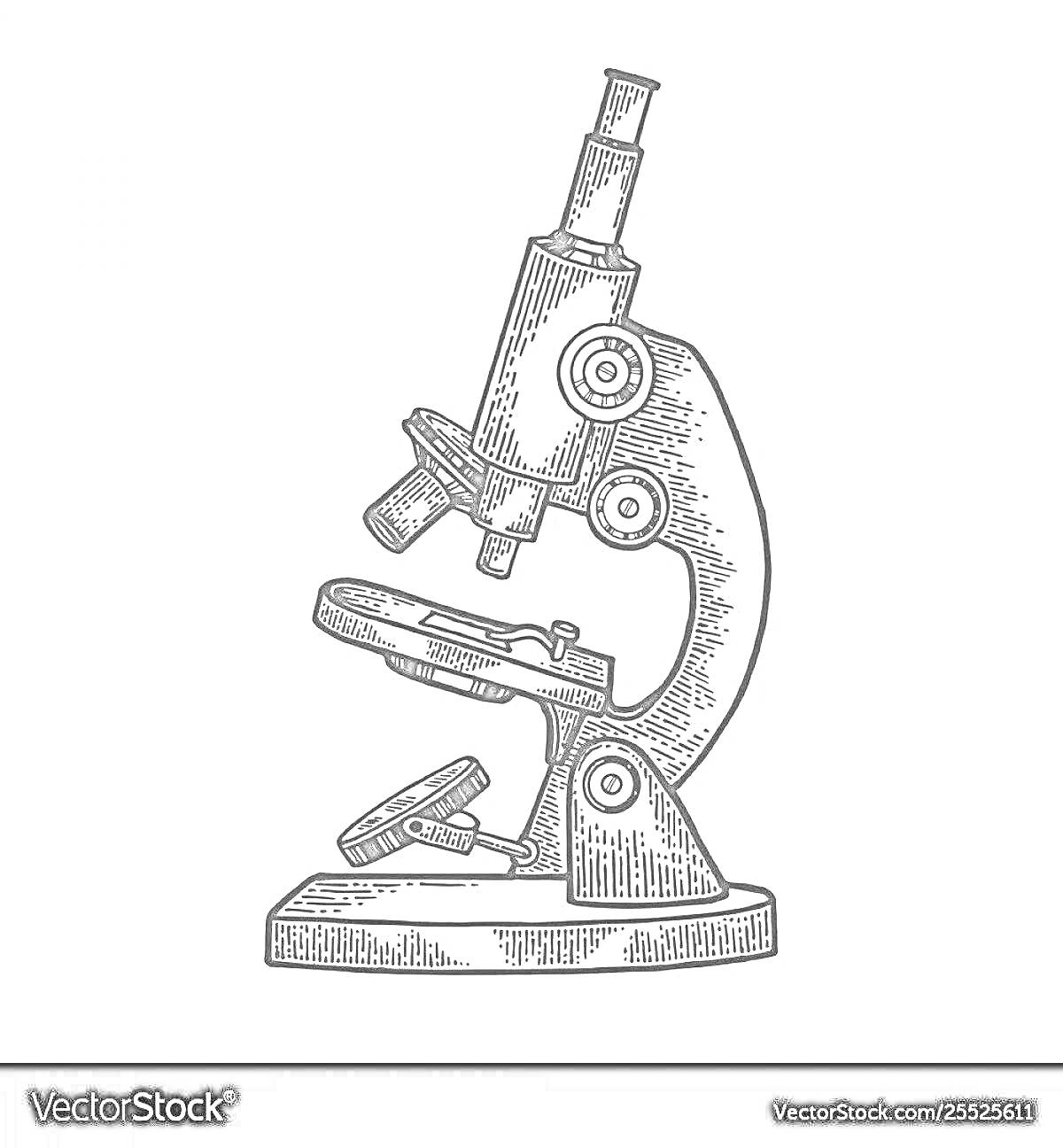 Раскраска Микроскоп с окулярами, объективами, винтами, столиком для образцов и основанием