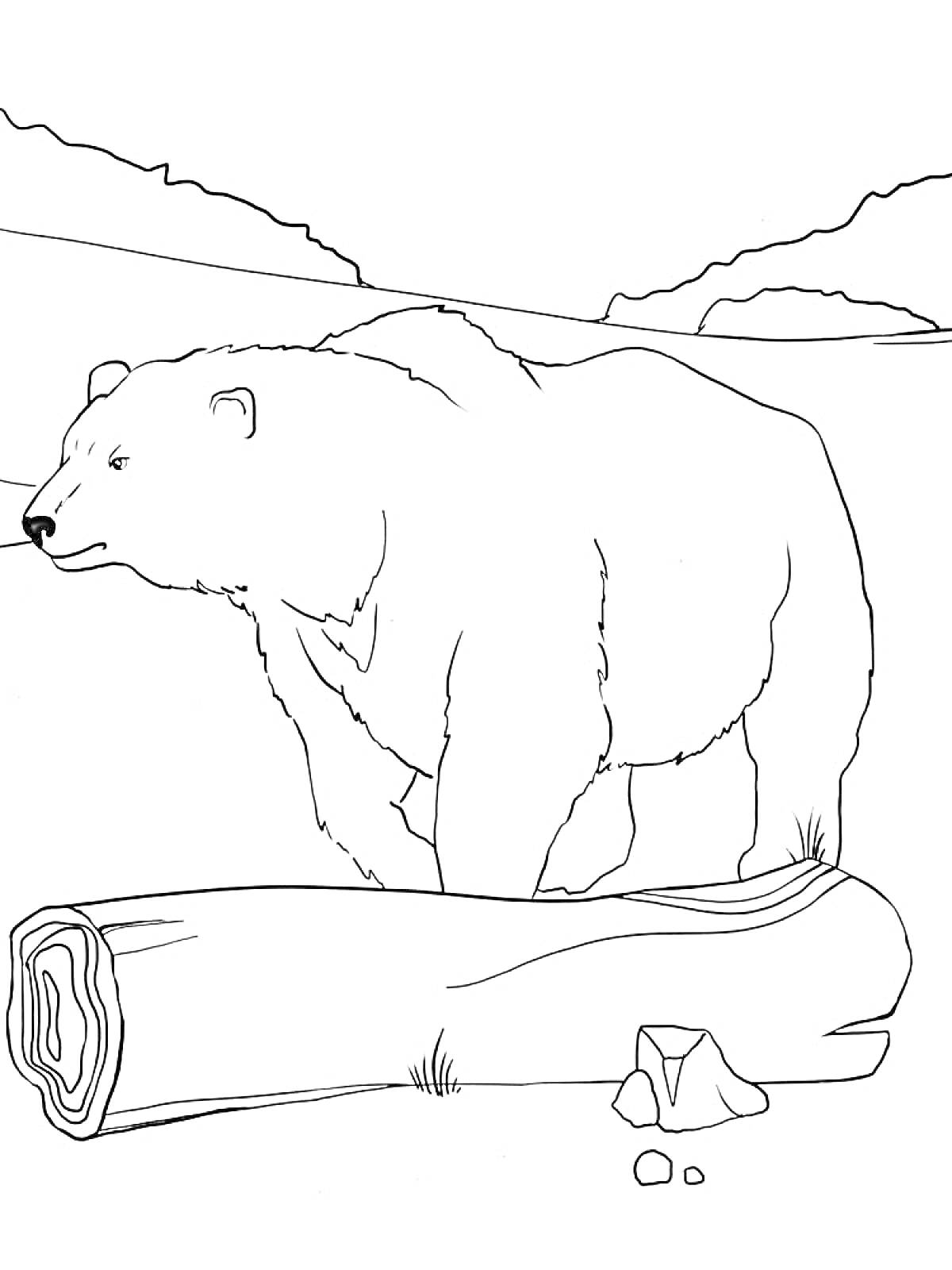 Белый медведь, бревно, камни, горная местность на заднем плане