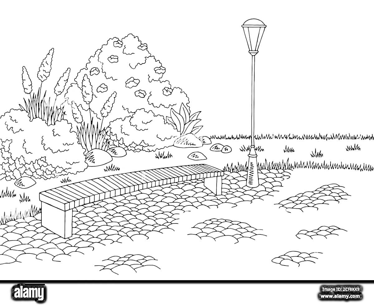 На раскраске изображено: Ландшафт, Сад, Кусты, Растения, Трава, Камни