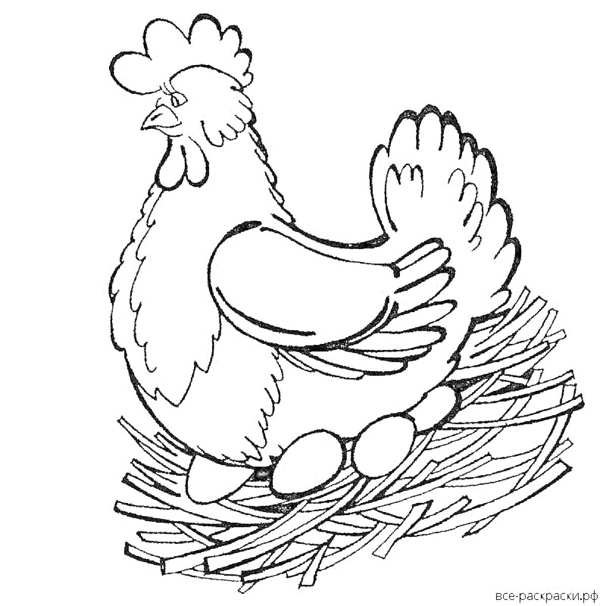 На раскраске изображено: Гнездо, Яйца, Птица, Сельское хозяйство, Домашние животные, Курицы