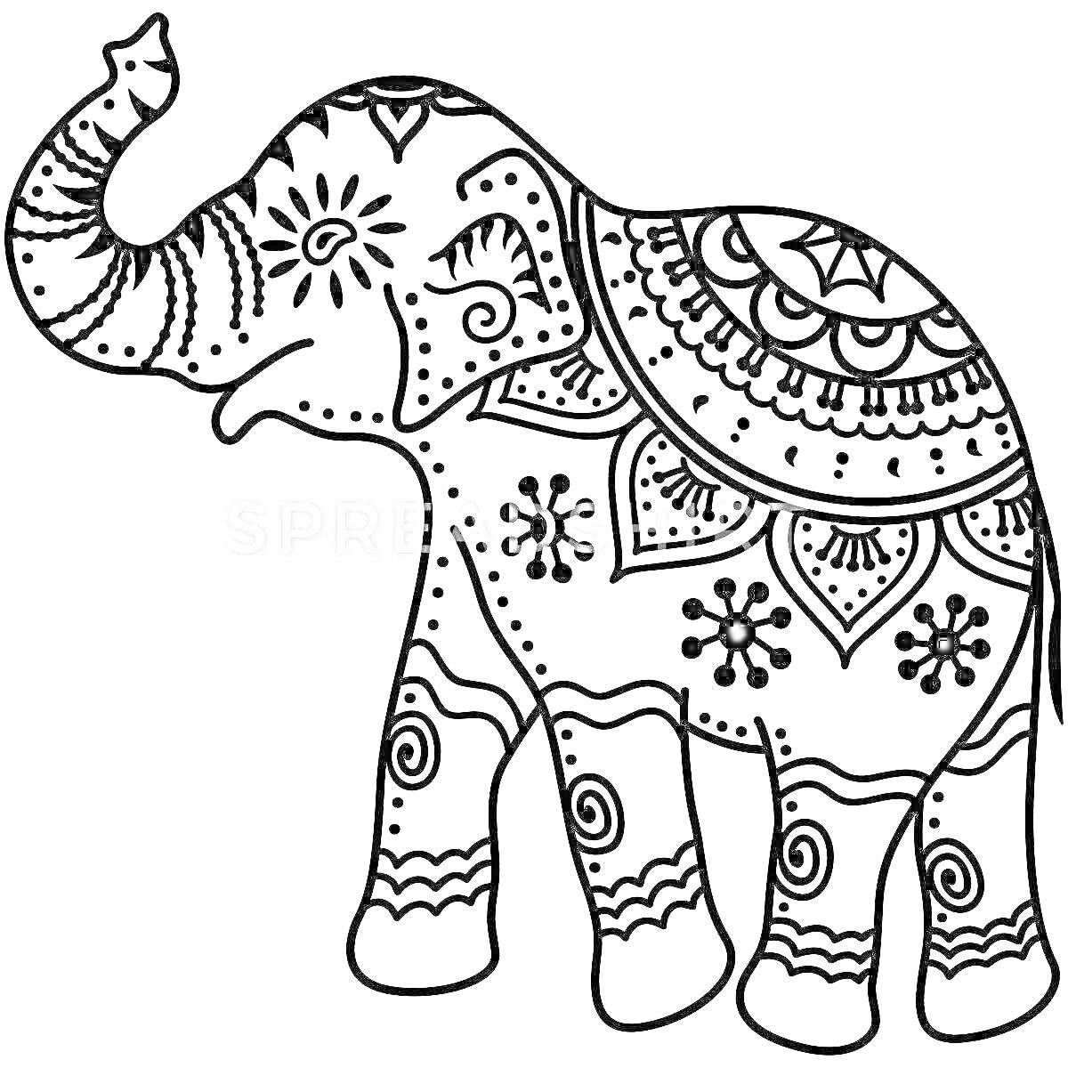 Раскраска Индийский слон с орнаментом, украшениями и узорами на теле
