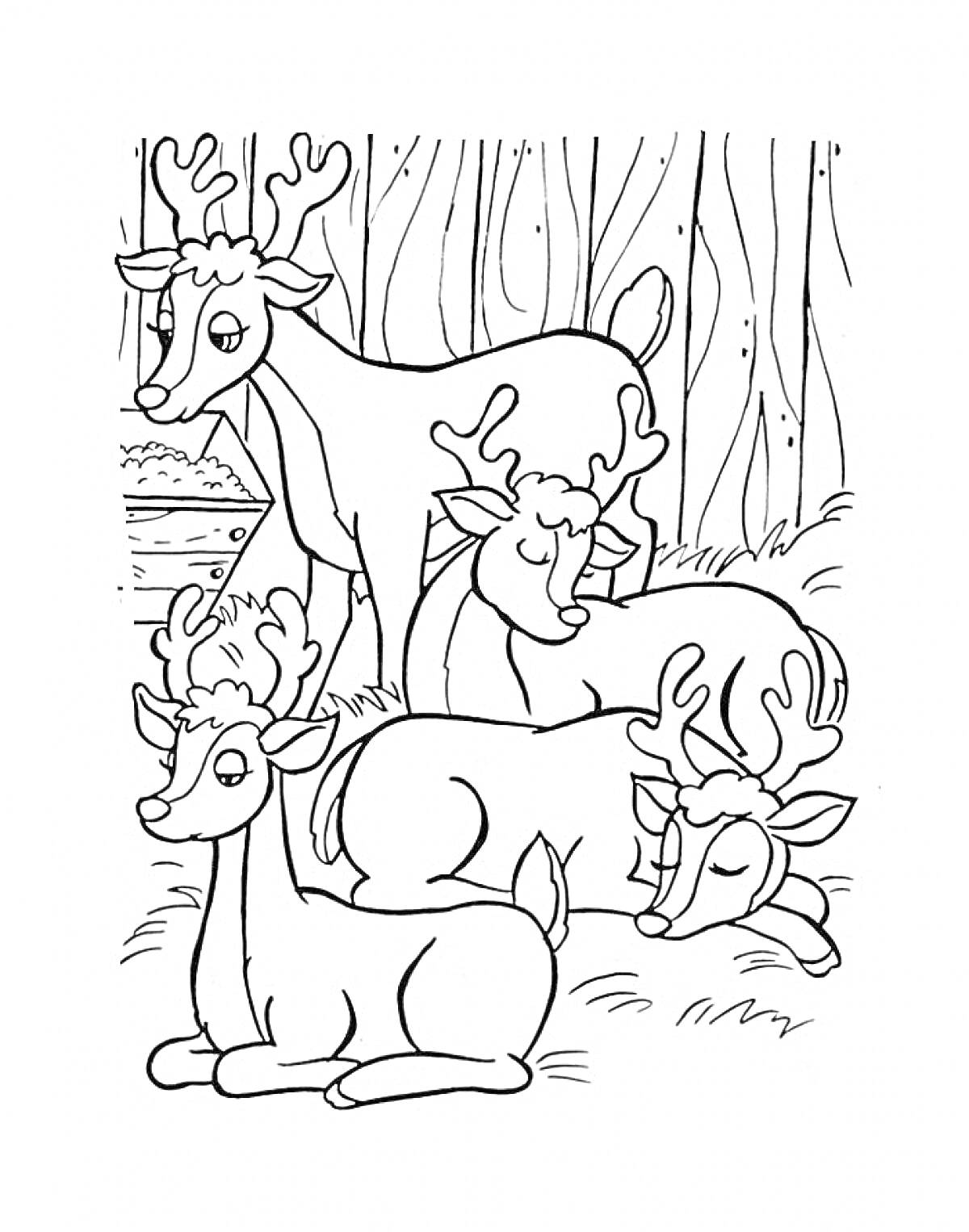 Раскраска Олени, отдыхающие у леса