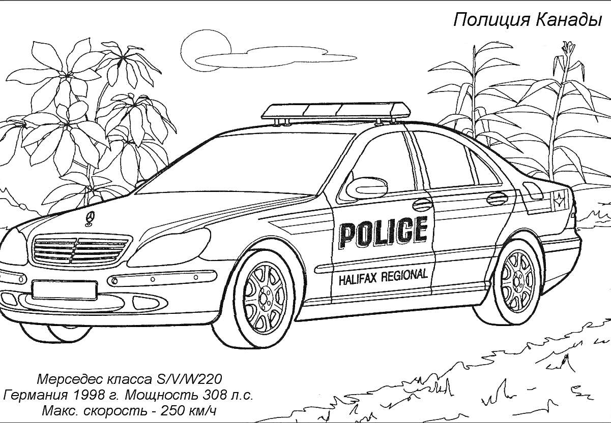 Раскраска Полицейская машина Mercedes класса S/W/W220 в Канаде на фоне деревьев и кустов