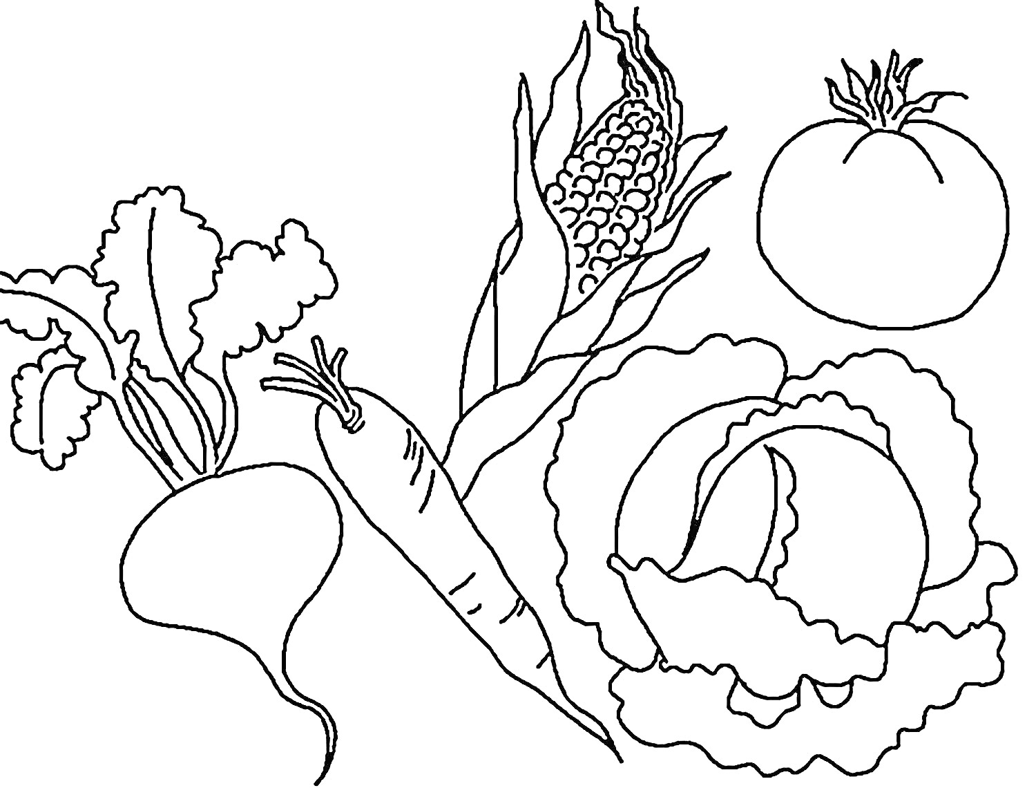 На раскраске изображено: Растения, Овощи, Свекла, Морковь, Кукуруза, Капуста, Помидор