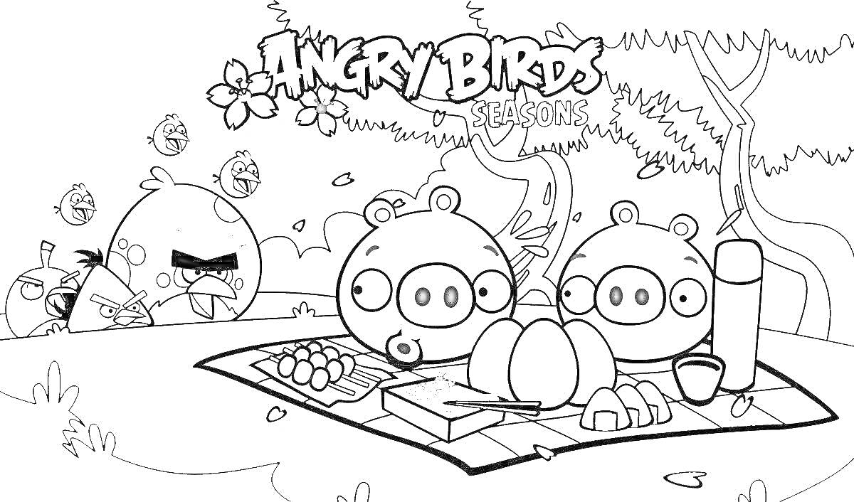 Злые Птицы и Свиньи в лесу с арбузом и книгой на поляне под брендом Angry Birds Seasons