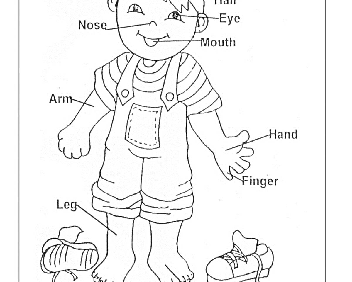На раскраске изображено: Части тела, Мальчик, Нос, Рот, Рука, Обувь