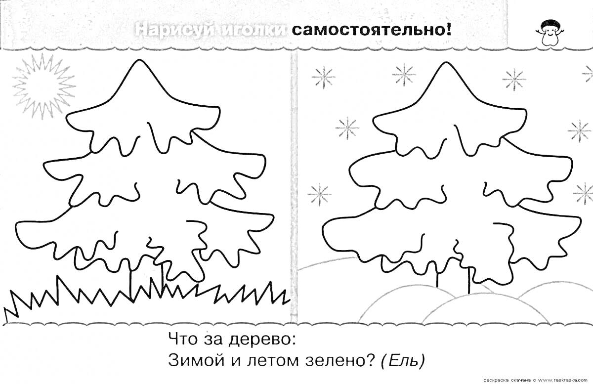 Раскраска Ёлка зимой и летом с контуром иголок, солнцем, звездами и снегом