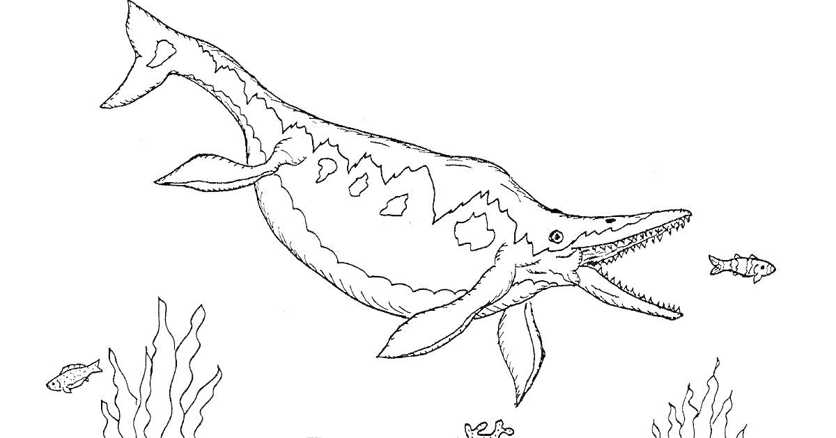 Раскраска Плезиозавр с рыбами и водорослями