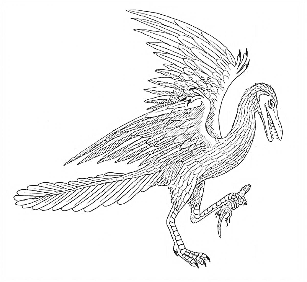 Раскраска Археоптерикс с распростертыми крыльями и пойманной добычей в когтях