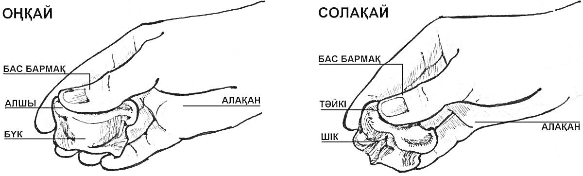 Раскраска Правильное держание асыка двумя разными способами - оңқай и солақай. На картинке изображены руки, держащие асык с надписями бас бармақ, шынашақ, атпай, алшын, табан, асық, серке, төре, инек.