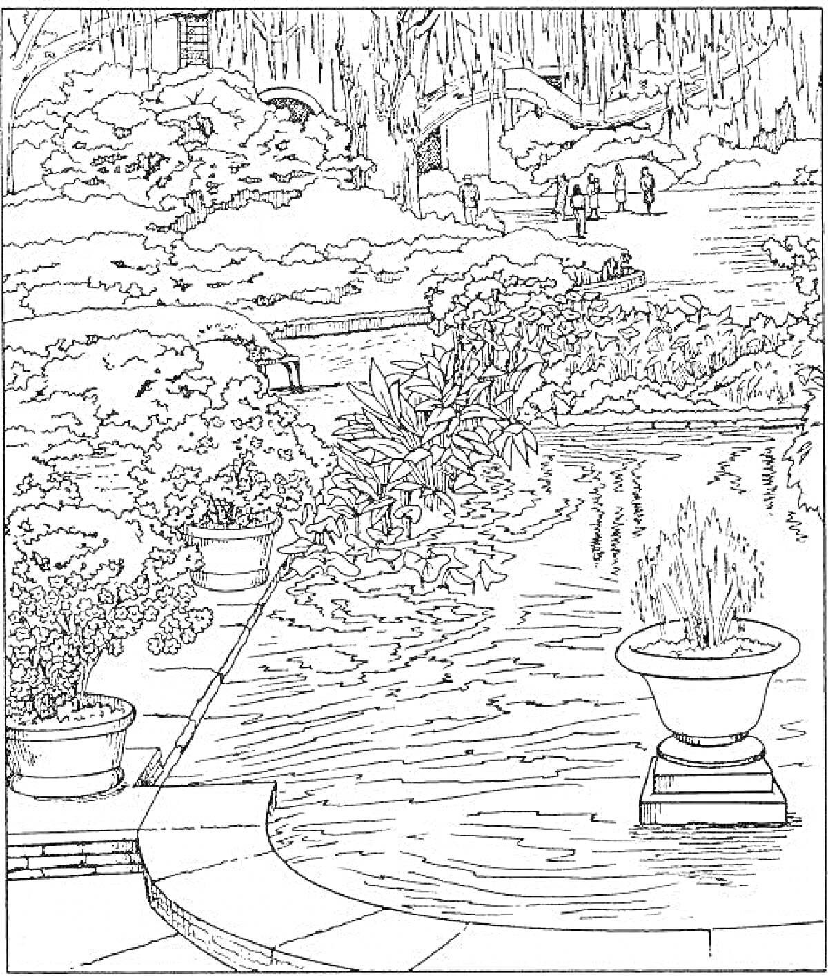 Раскраска Японский сад с кустарниками, водоемом, горшечными растениями, каменным мостиком и ивами на заднем плане, с проходящими людьми.
