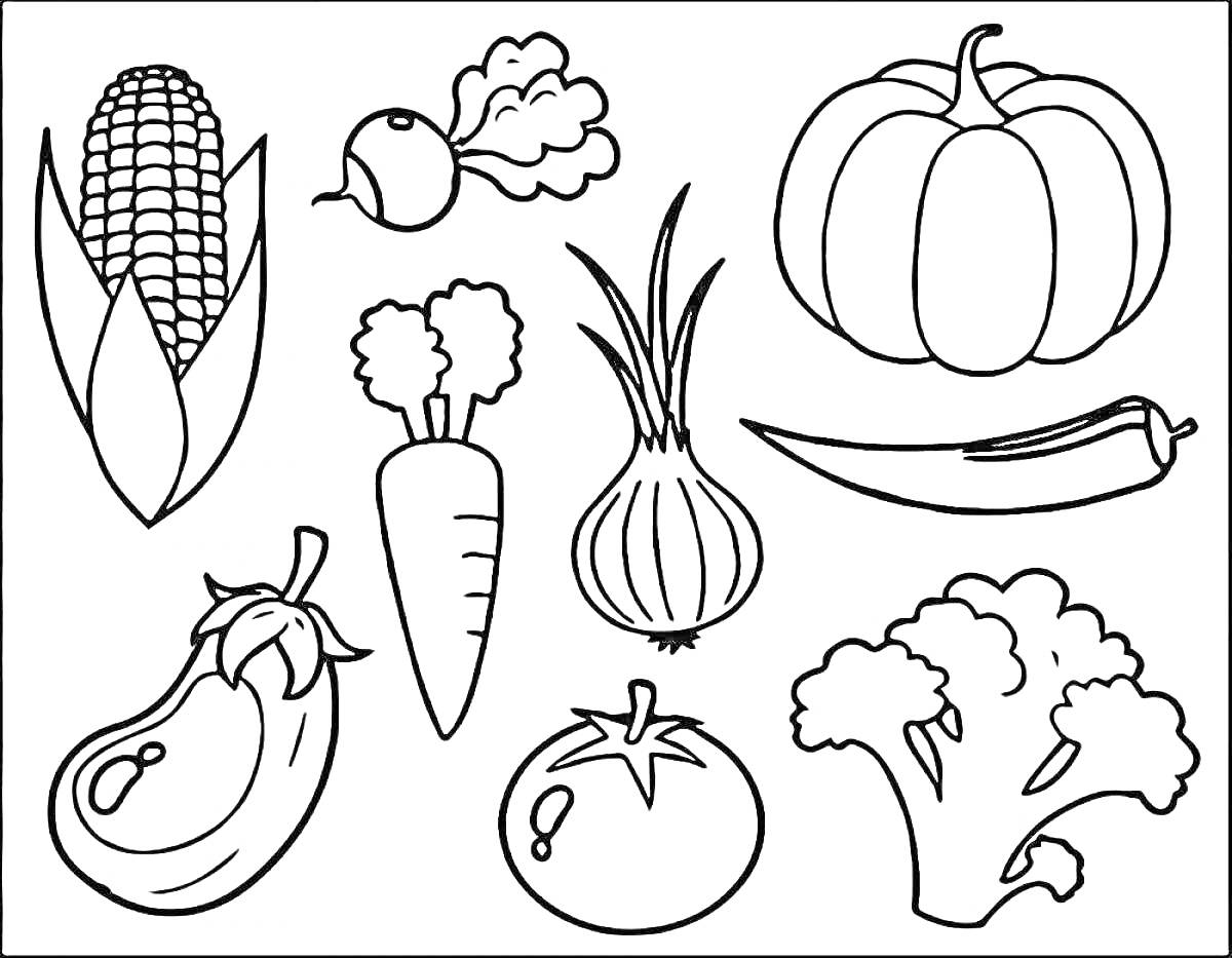 Раскраска кукуруза, редис, тыква, морковь, лук, окорок, баклажан, помидор, брокколи