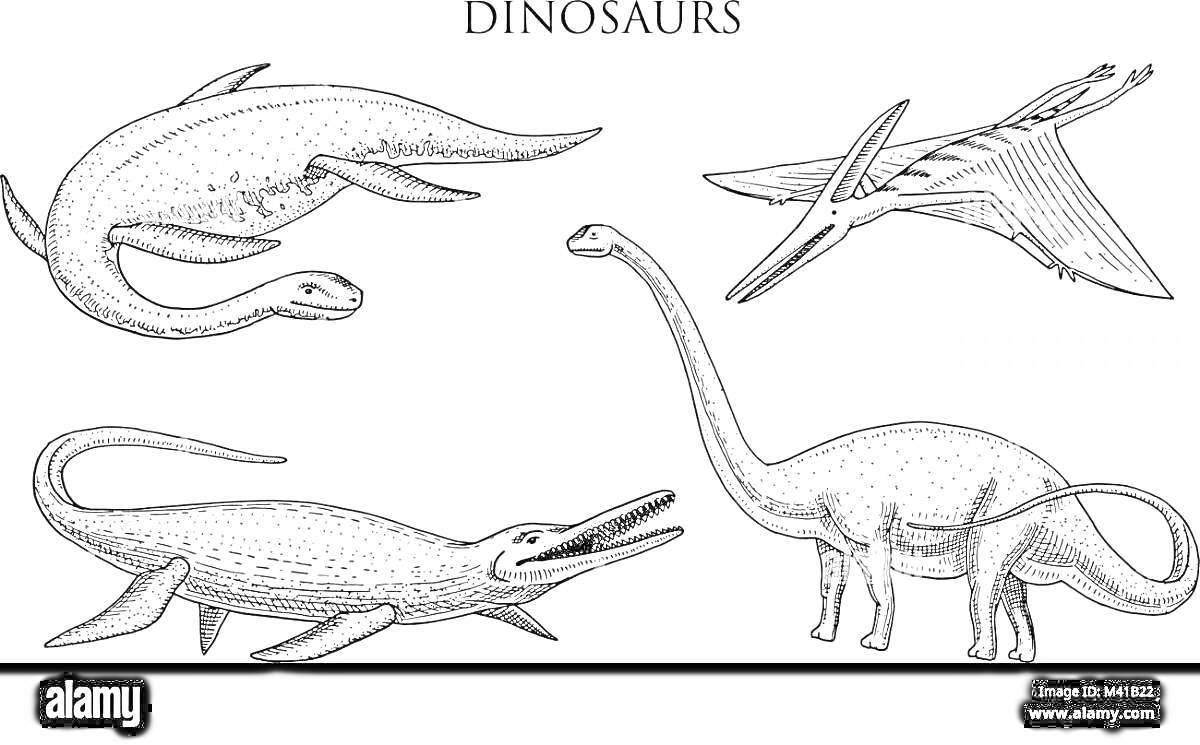 Динозавры - мозазавр, плезиозавр, птерозавр и завропод