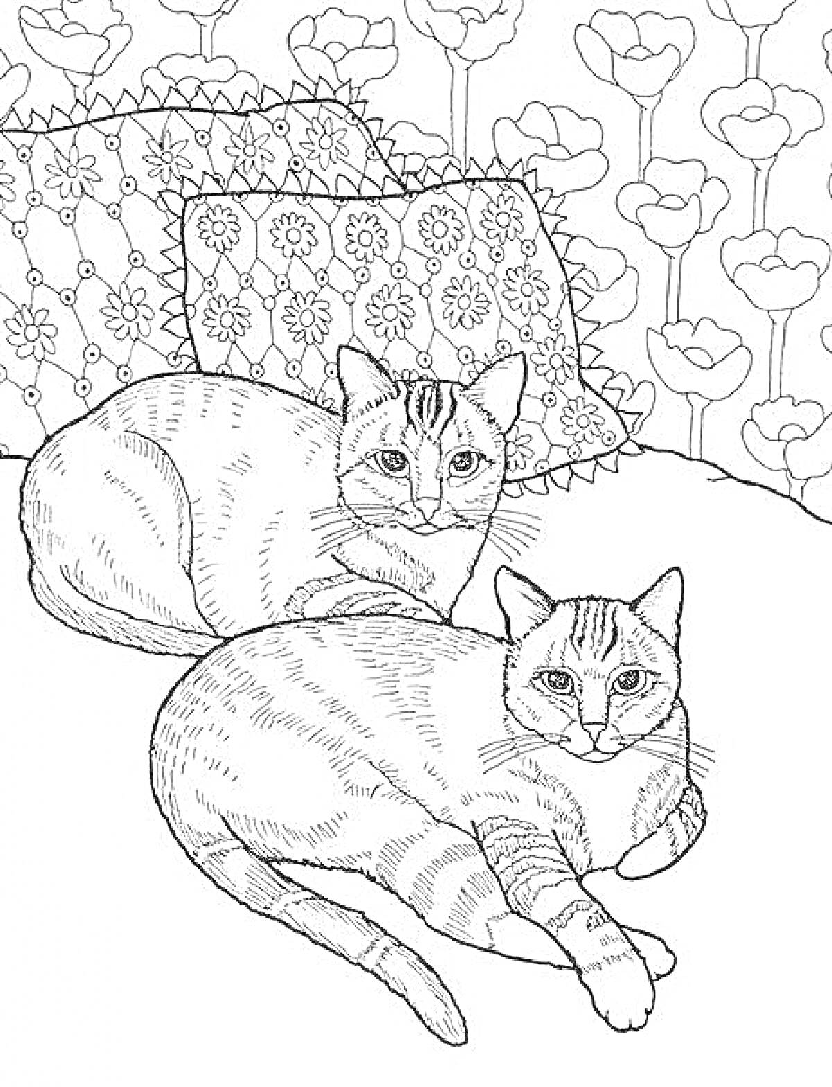 Раскраска два котенка лежат на подушках на фоне цветочной обои.