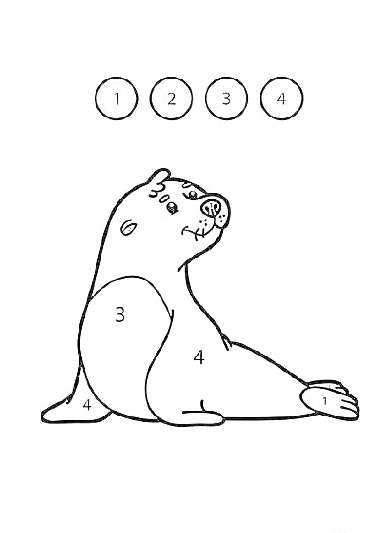 Раскраска Морской лев с номерами для раскрашивания