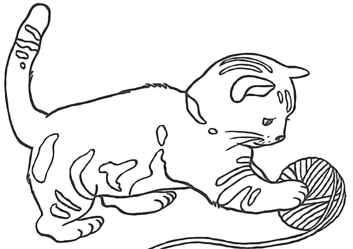 Раскраска Котёнок с клубком ниток