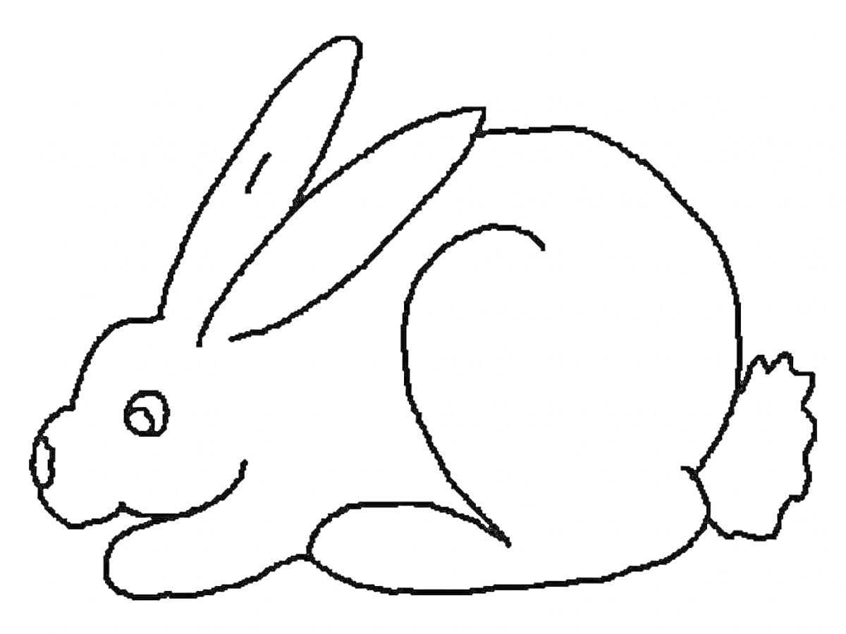 Раскраска Раскраска - заяц в сидячей позе