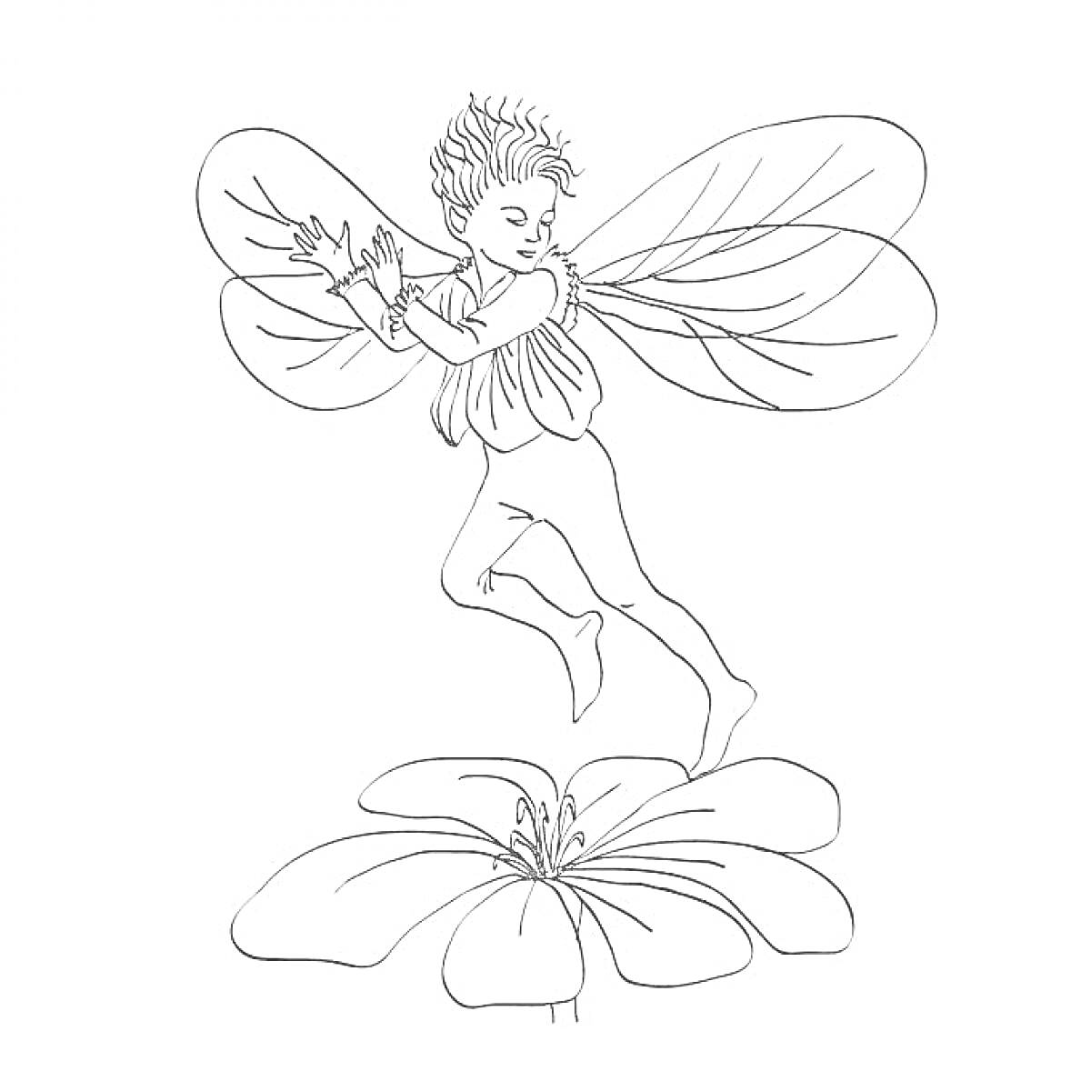 Раскраска Эльф с крыльями парит над цветком