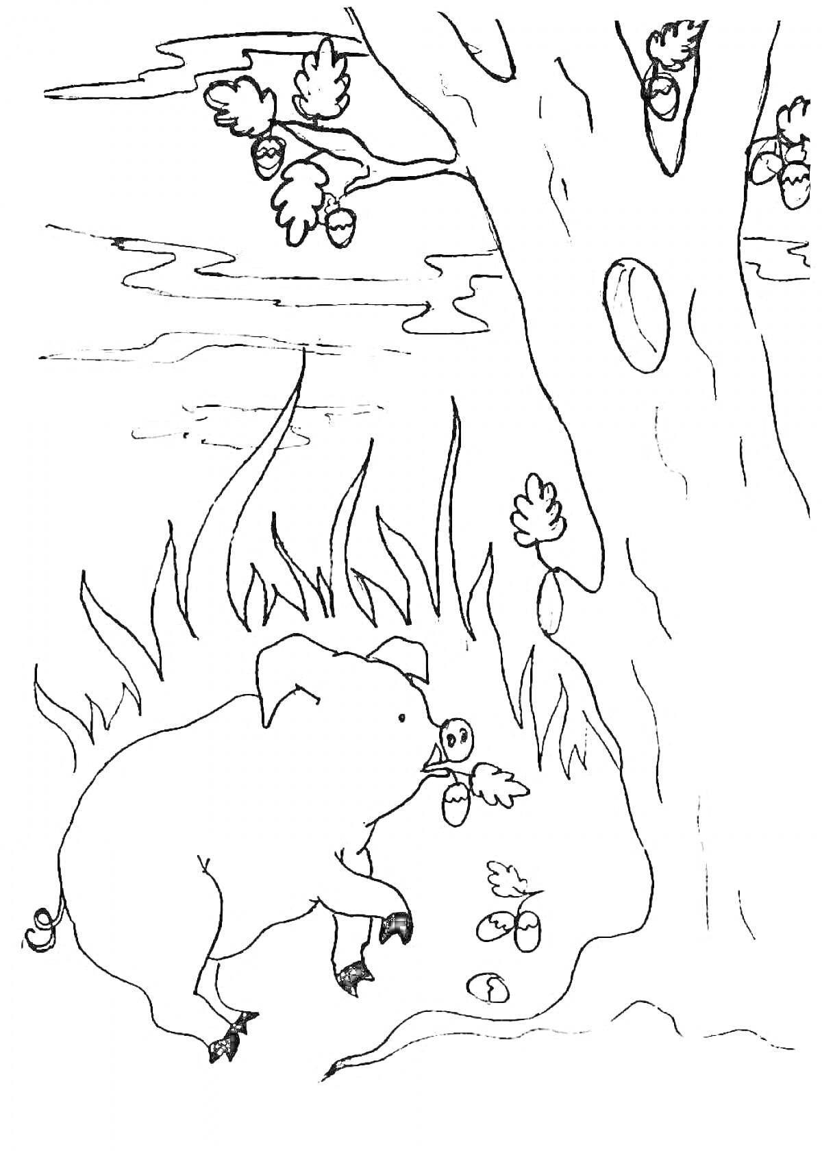 На раскраске изображено: Дуб, Желуди, Трава, Листья, Природа, Животные
