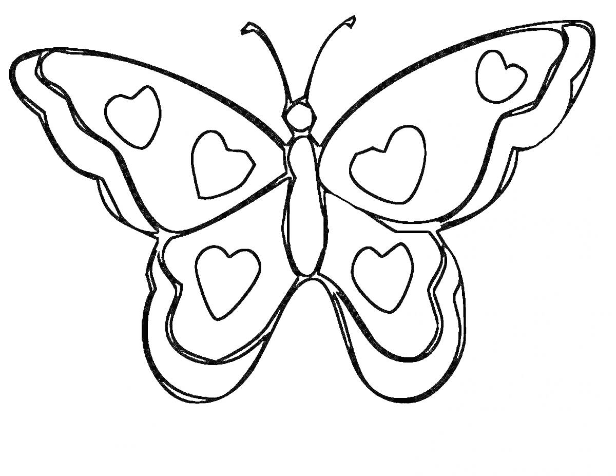 На раскраске изображено: Бабочка, Крылья, Насекомое, Природа, Сердца