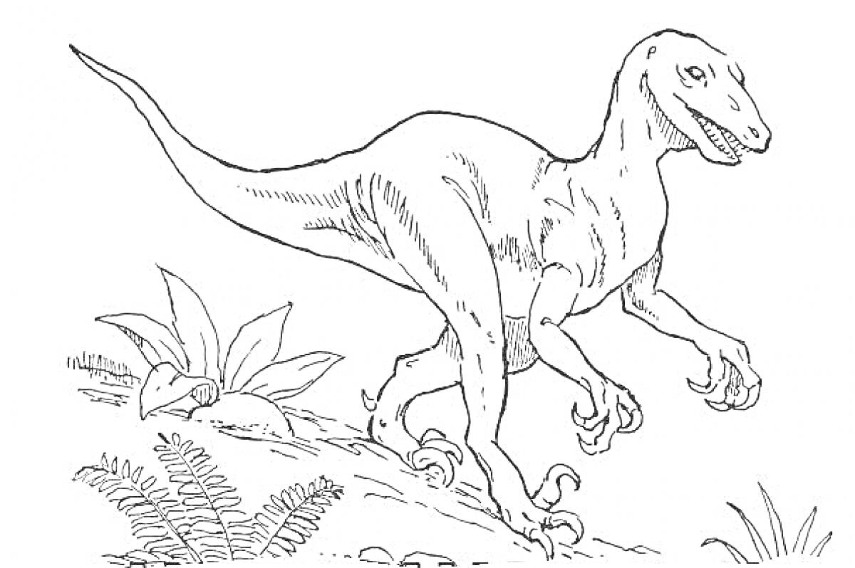 На раскраске изображено: Дейноних, Динозавр, Кусты, Листья, Бег, Природа, Доисторические животные