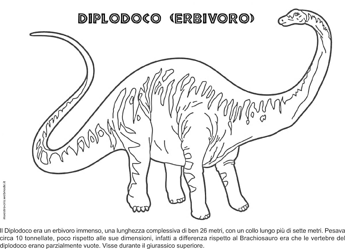 На раскраске изображено: Диплодок, Динозавр, Травоядный
