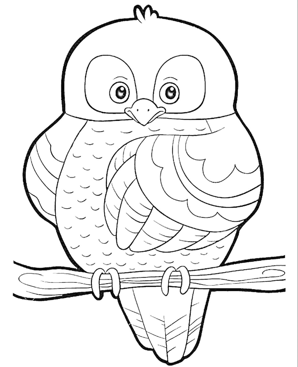 Раскраска Полярная сова на ветке