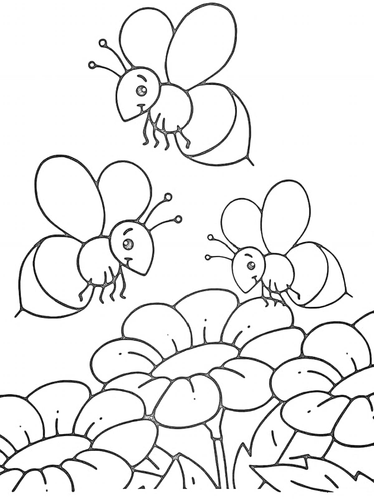 На раскраске изображено: Пчёлы, Цветы, Группа, Для детей, Детский сад, Природа, Насекомое