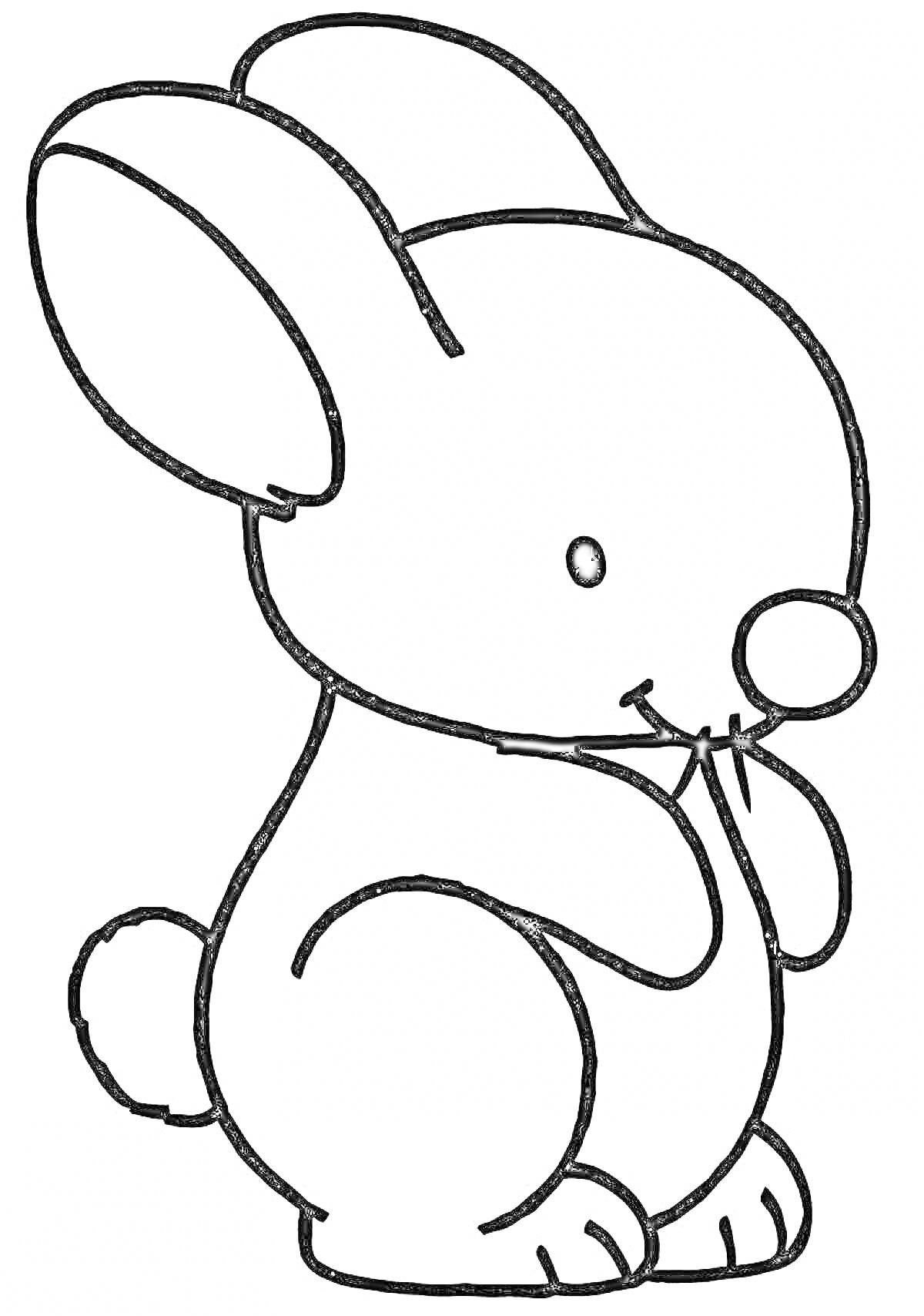 Раскраска Кролик с большими ушами, пушистым хвостом и маленькими лапками