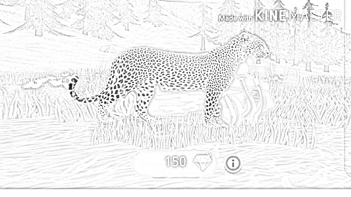 Раскраска Леопард на фоне лесного пейзажа с таймером и камнями внизу
