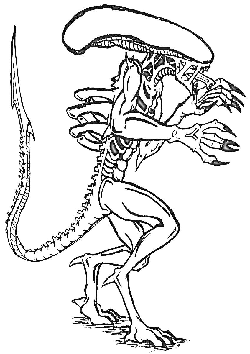 Раскраска Чужой с длинным хвостом и острыми когтями на руках