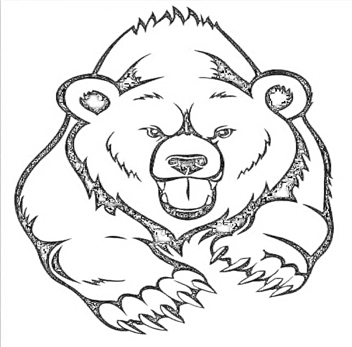 На раскраске изображено: Медведь, Голова, Открытая пасть, Когти, Агрессивный