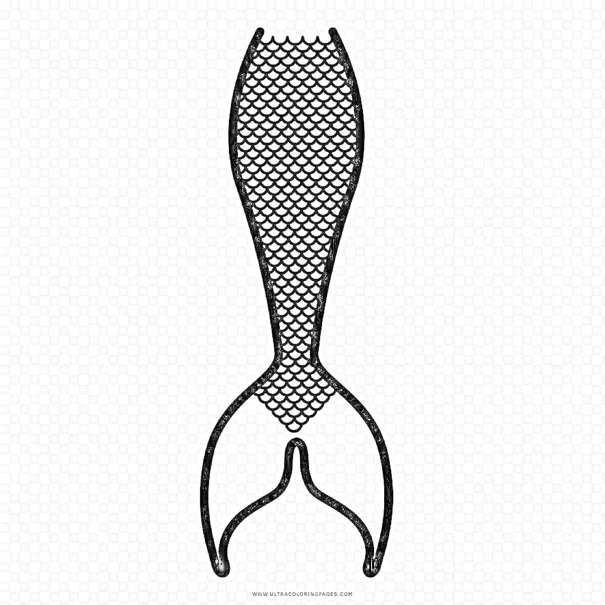 Раскраска Хвост русалки с чешуей и плавниками