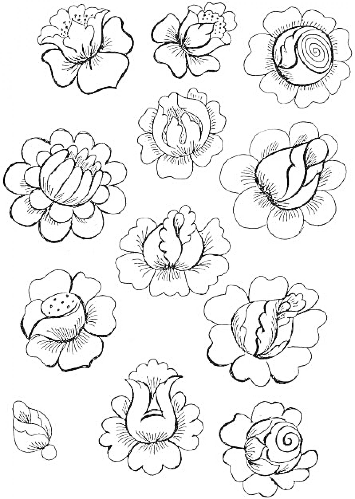 Раскраска Жостовские цветы - бутоны и полураскрытые цветы с листьями