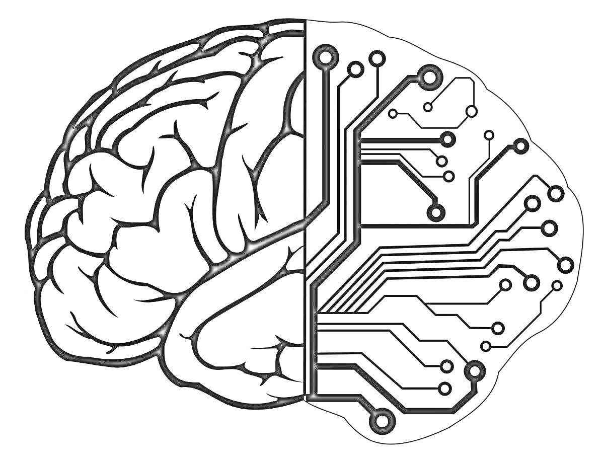 Раскраска Половина человеческого мозга и половина компьютерной схемы